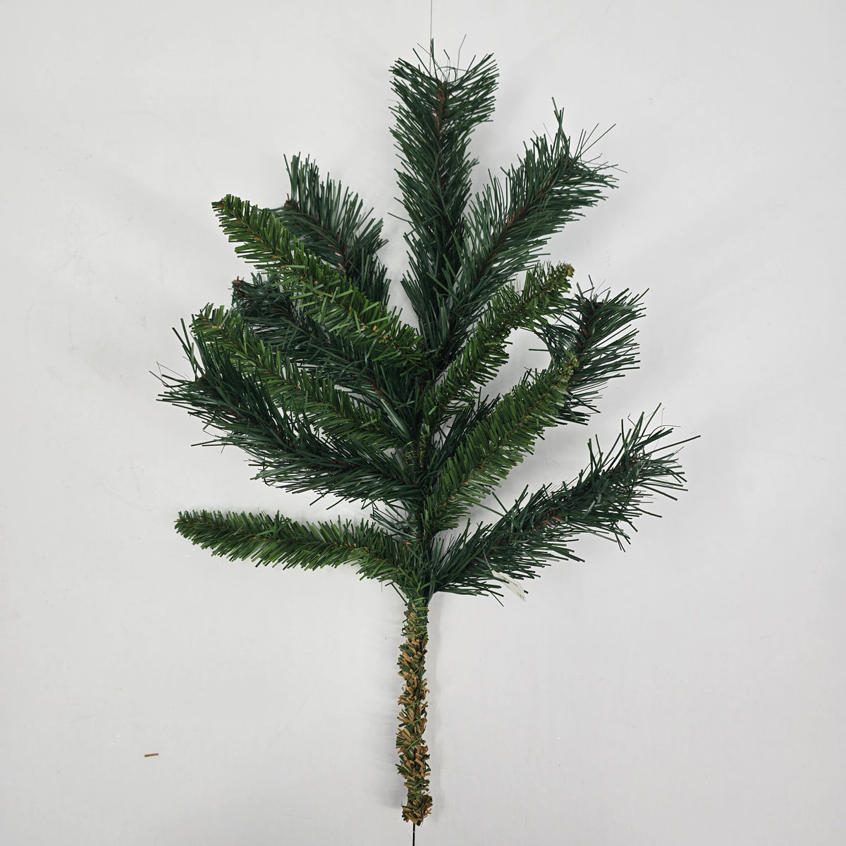 20&quot; Princess Pine