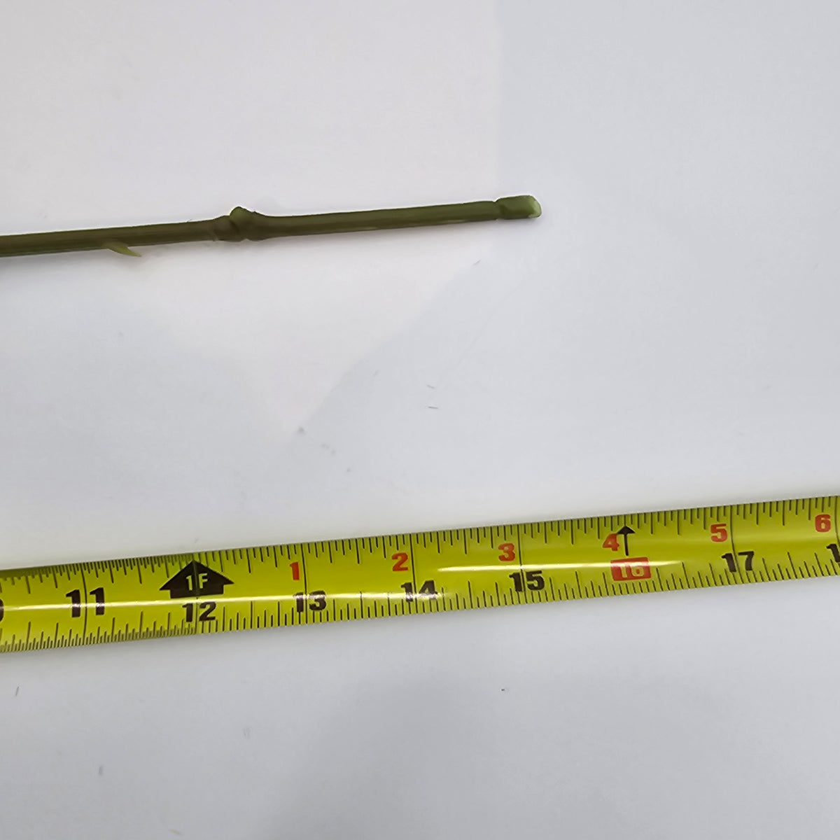 15.5&quot;ROSE--fsr205