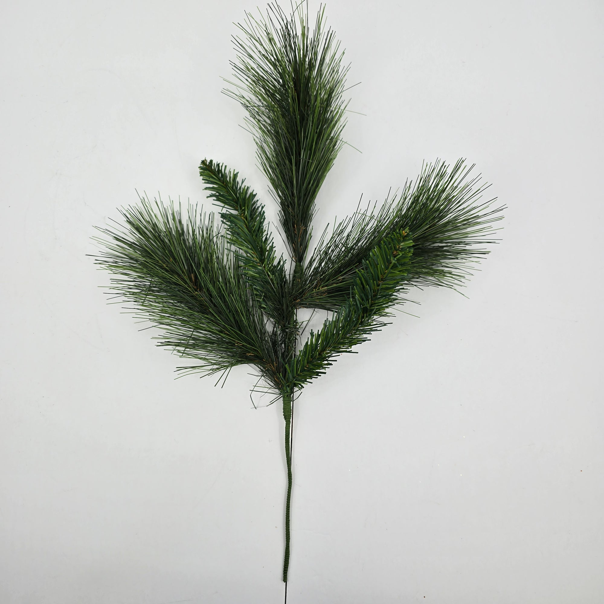 20" Long Needle Pine-#ysn015