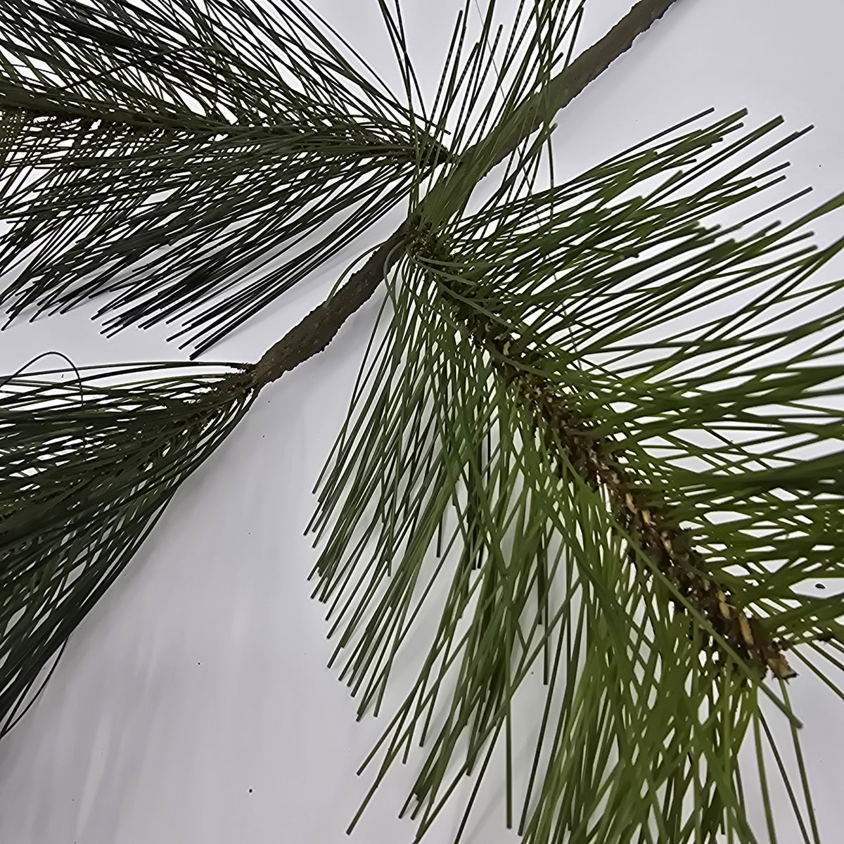 30&quot; Long Needle Pine Spray--#ysp302