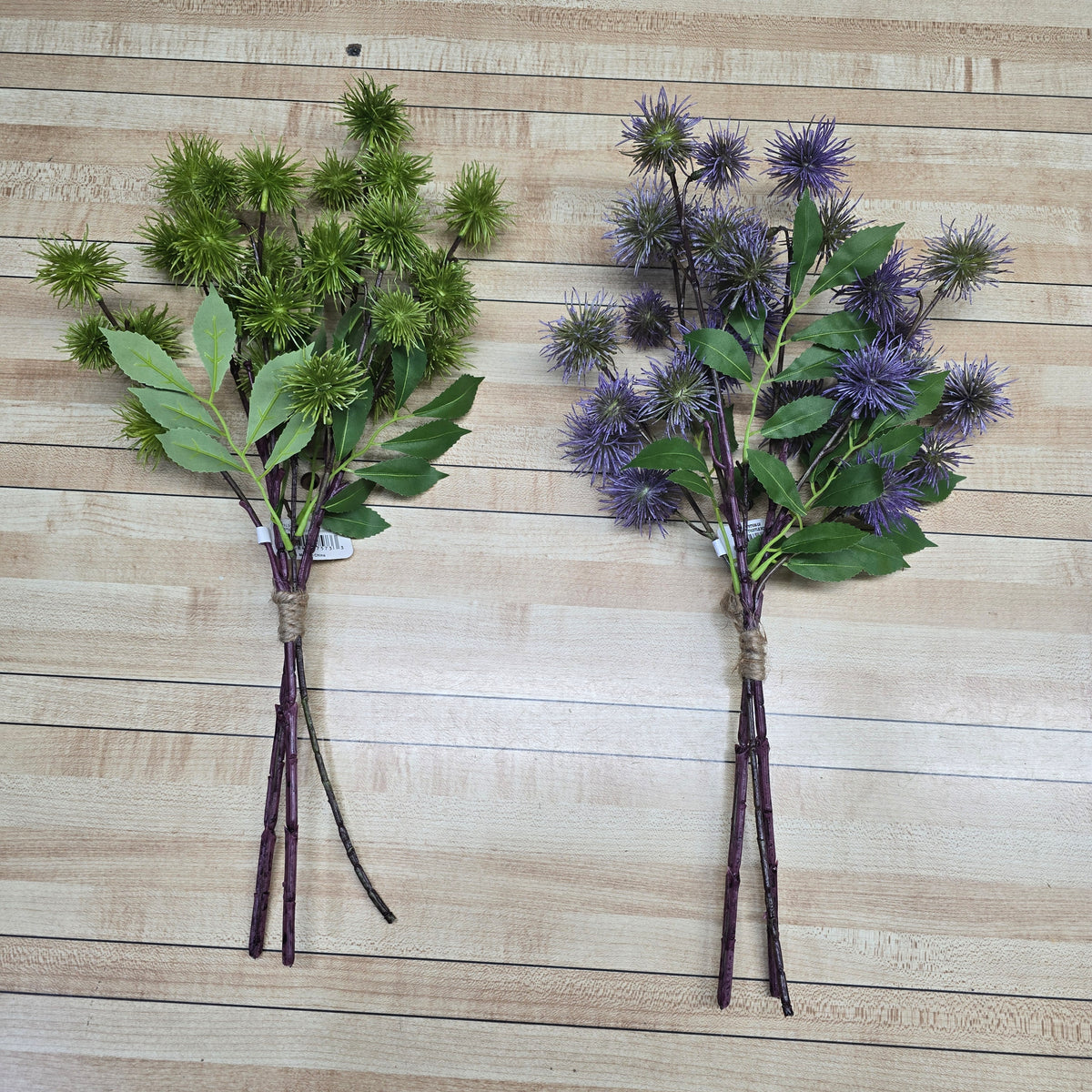 18" Globe Thistle Bundle #fbt556