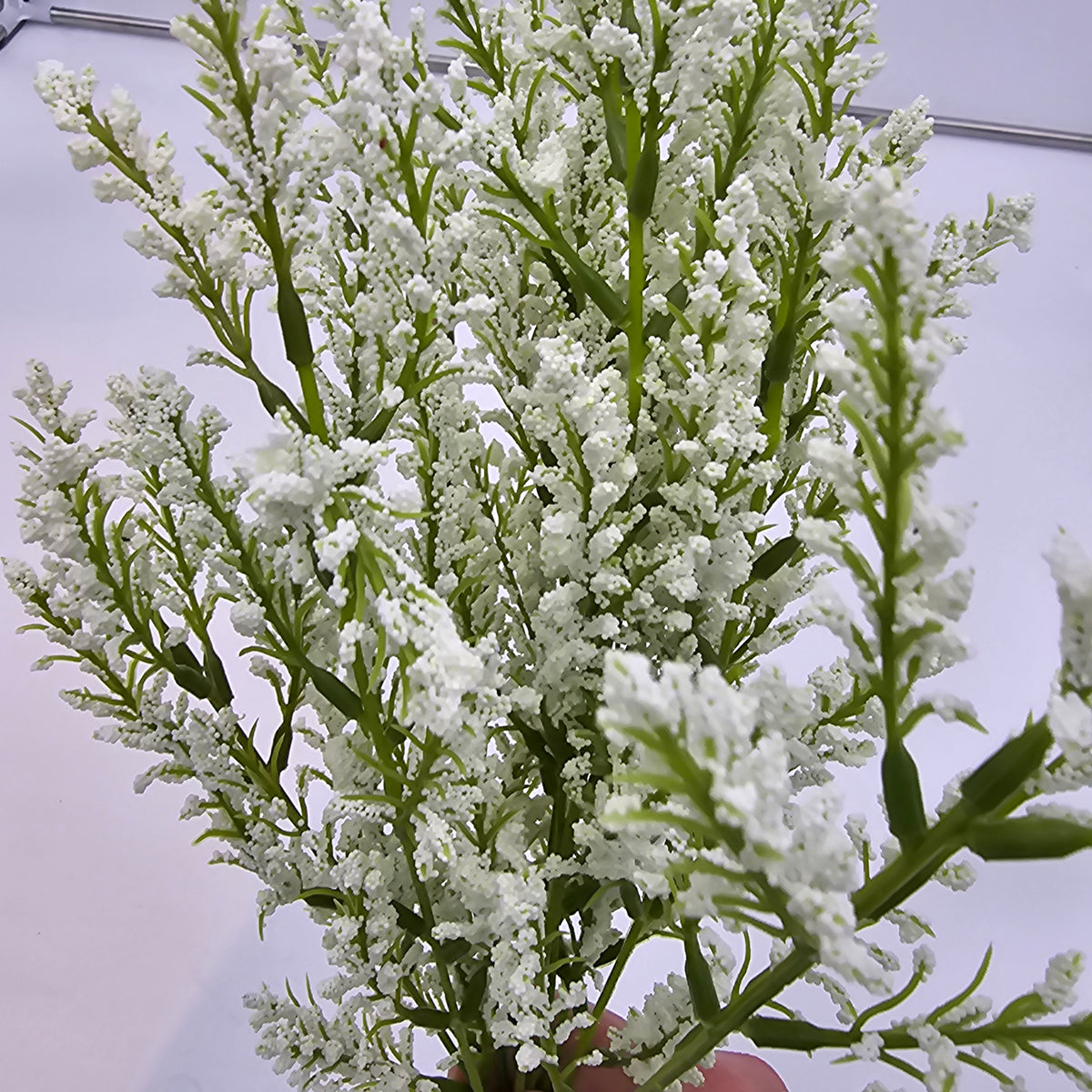 Astilbe Bush--fba256