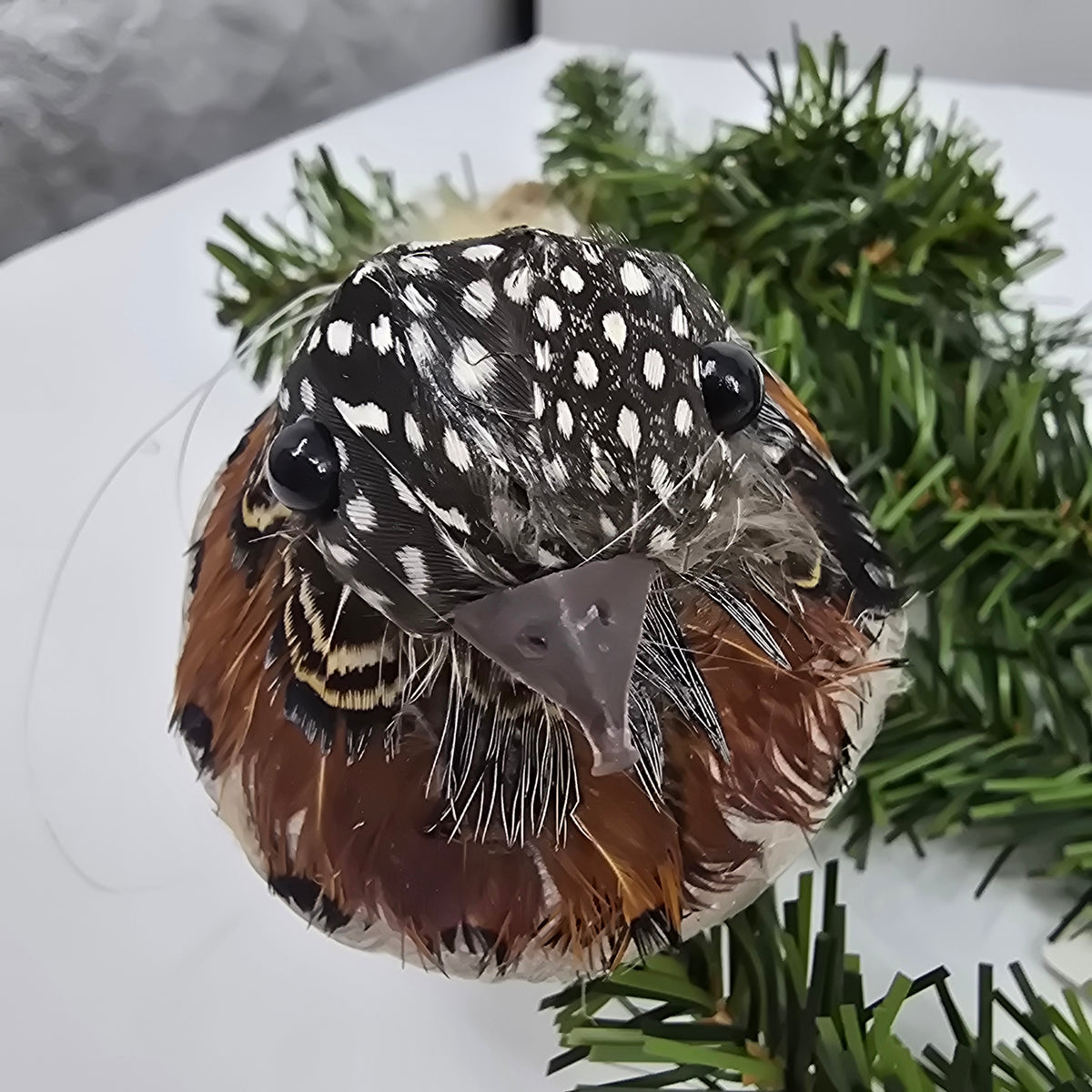 3&quot;x10&quot; Spotted Bird/clip-#bbc240