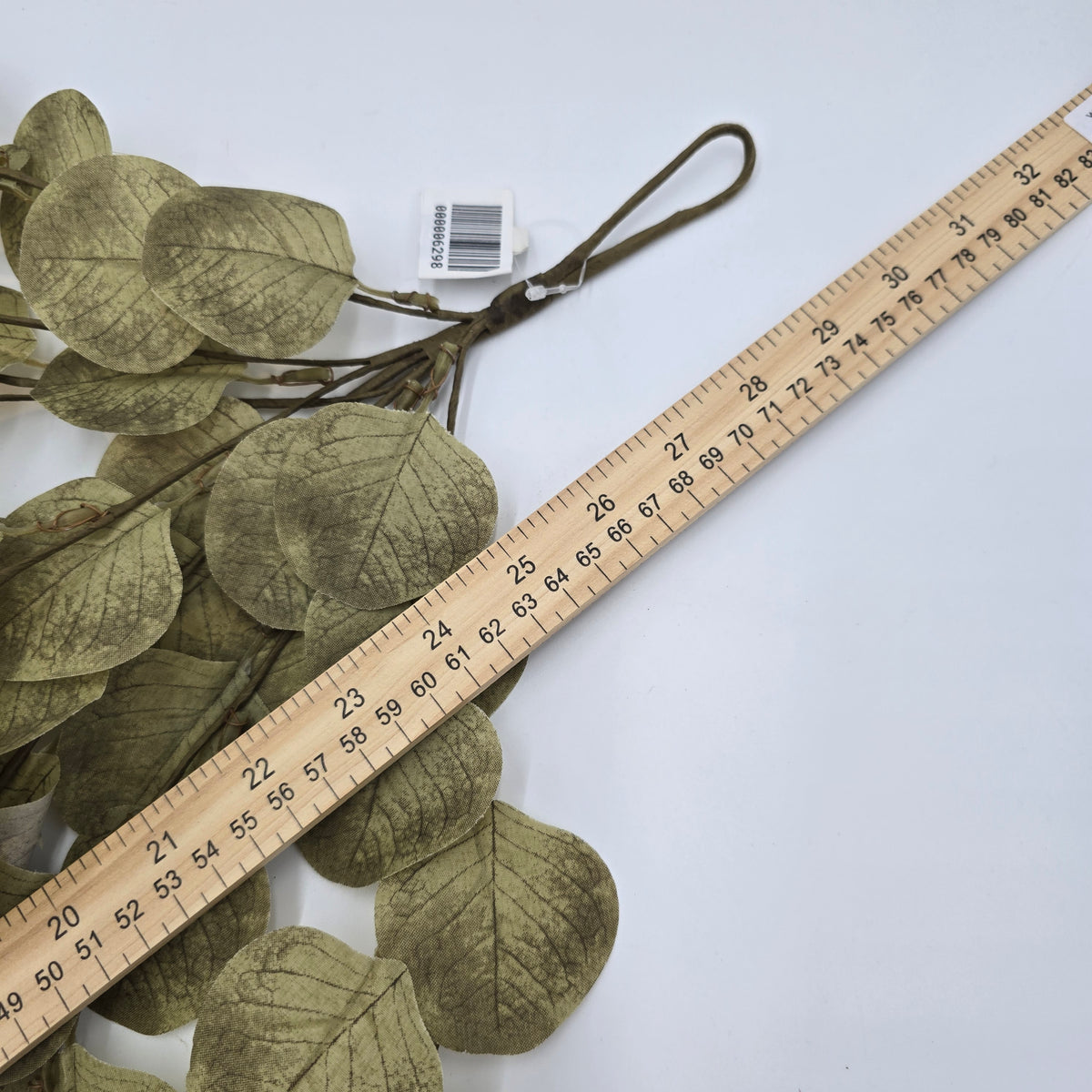 Eucalyptus Swag-31&quot; #pae502