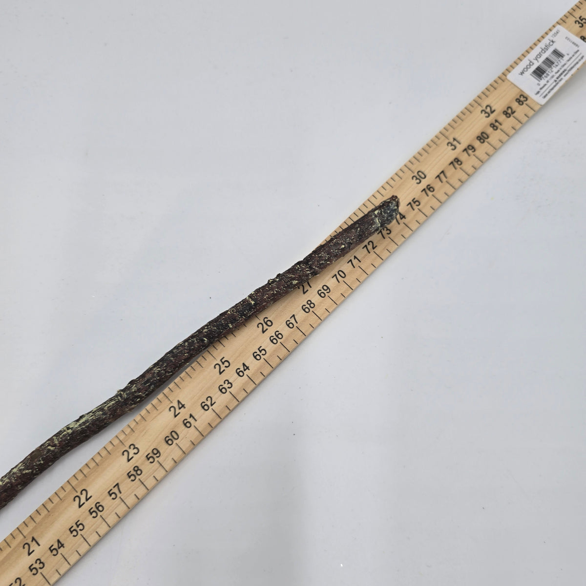 Red Hot Poker #fsp109