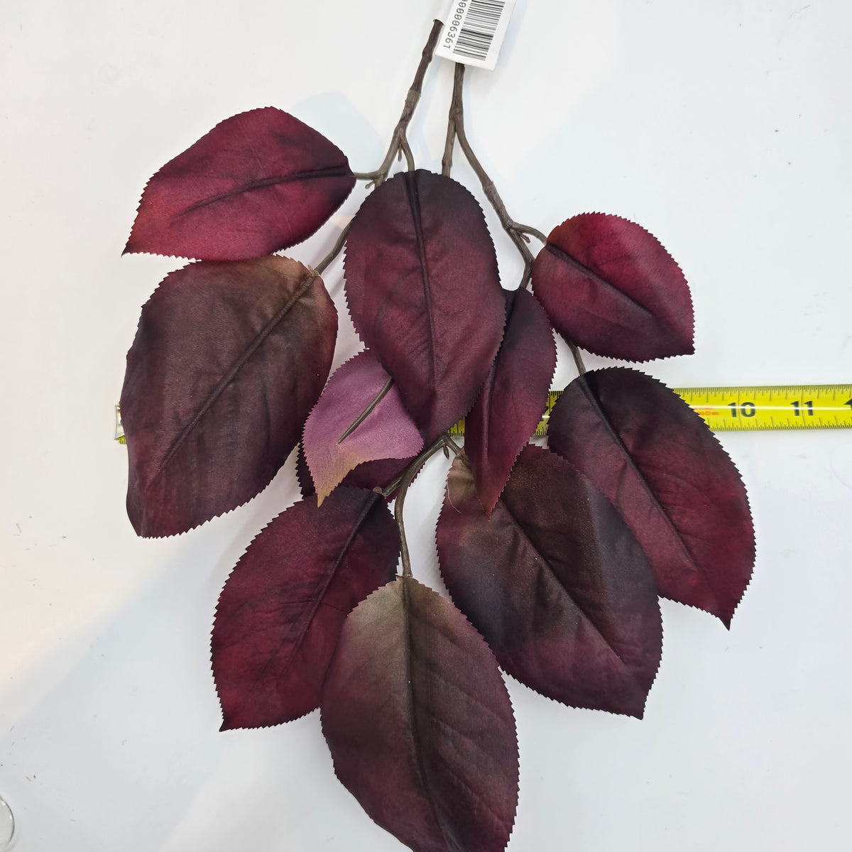 Mulberry Lf Spry  27&quot;  --#psm009