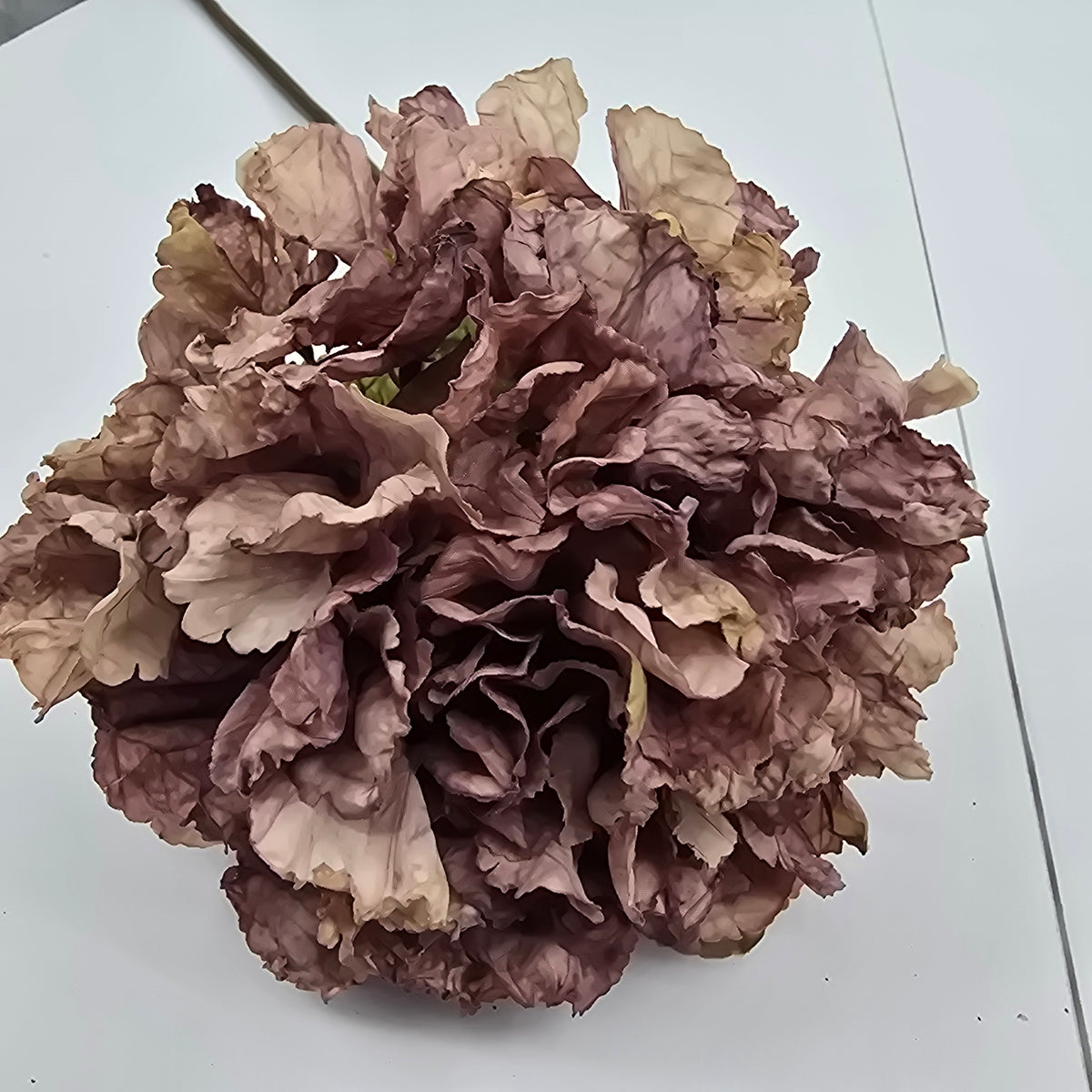 Dried Lk Hydrangea #fsh152