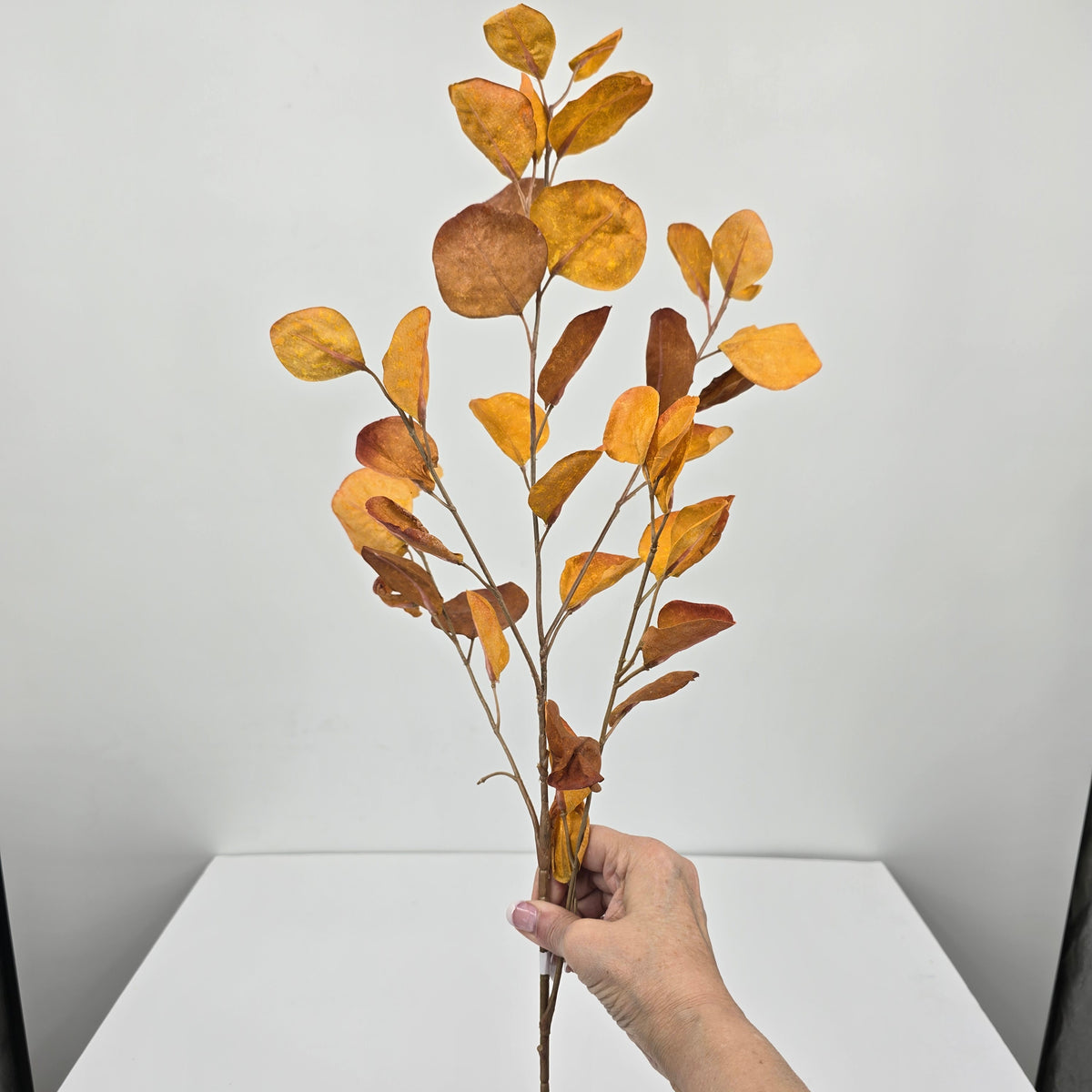 38.5&quot; Eucalyptus Leaf Spray-#pse817-flame