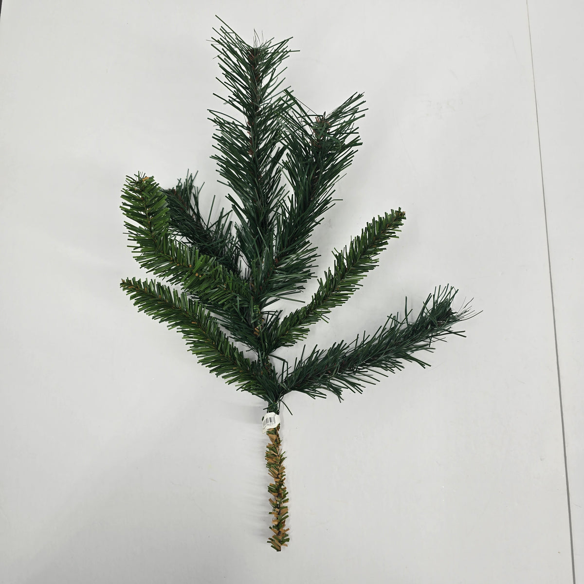 15&quot; Princess Pine