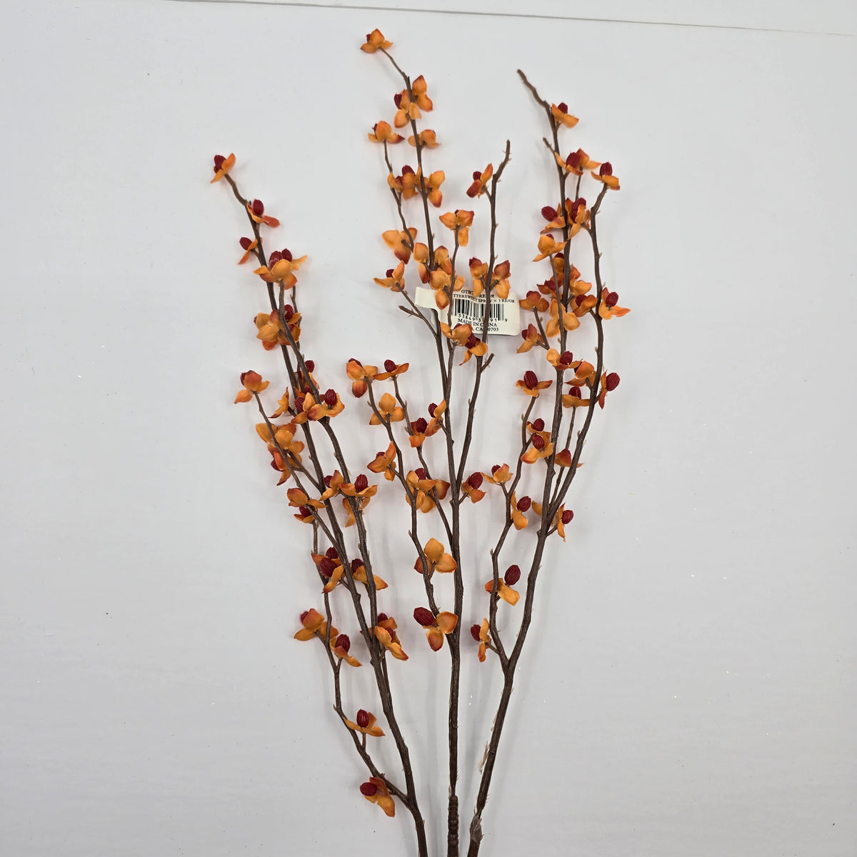 32&quot; Bittersweet--#gtb780