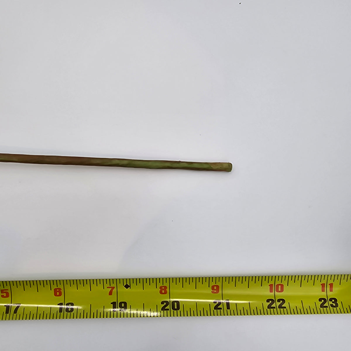 21&quot; Spring Berry--#fsb200