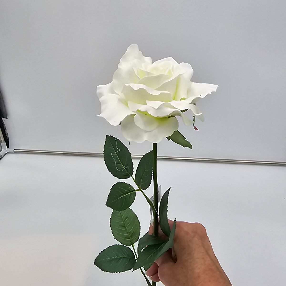 27&quot;LG ROSE--fr2008