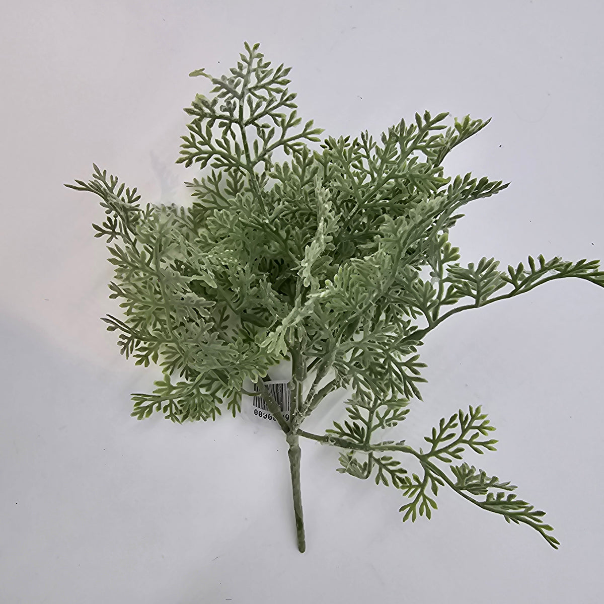 8&quot; DUSTY MILLER--pbd338-gr/gy