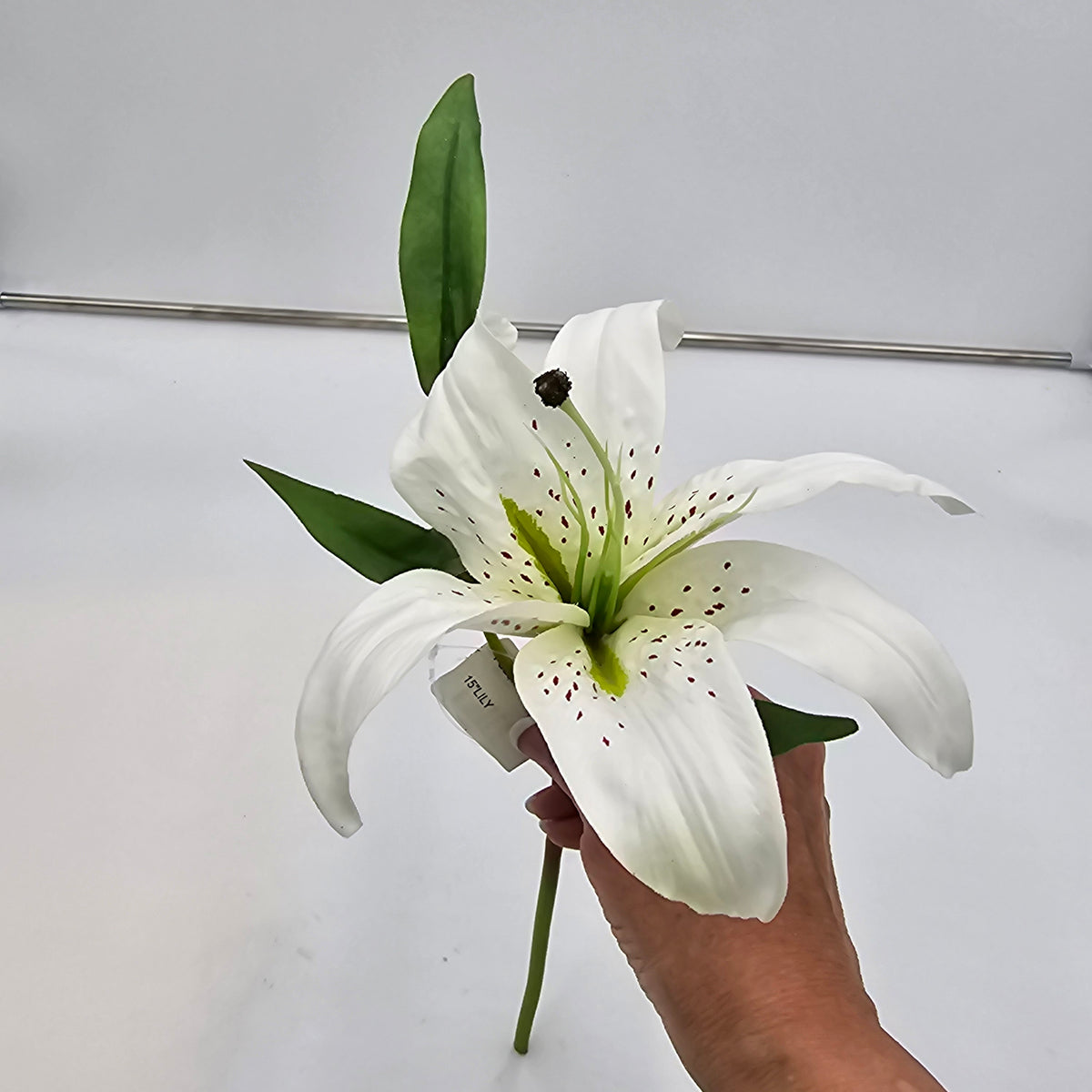 15&quot; Lily--#fsl377