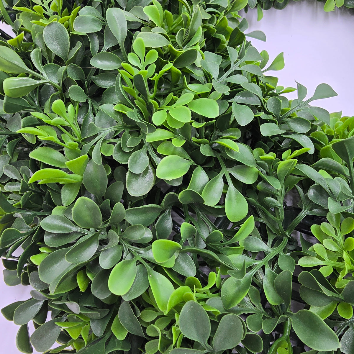 22&#39; Bxwood Wrth-#pwb224