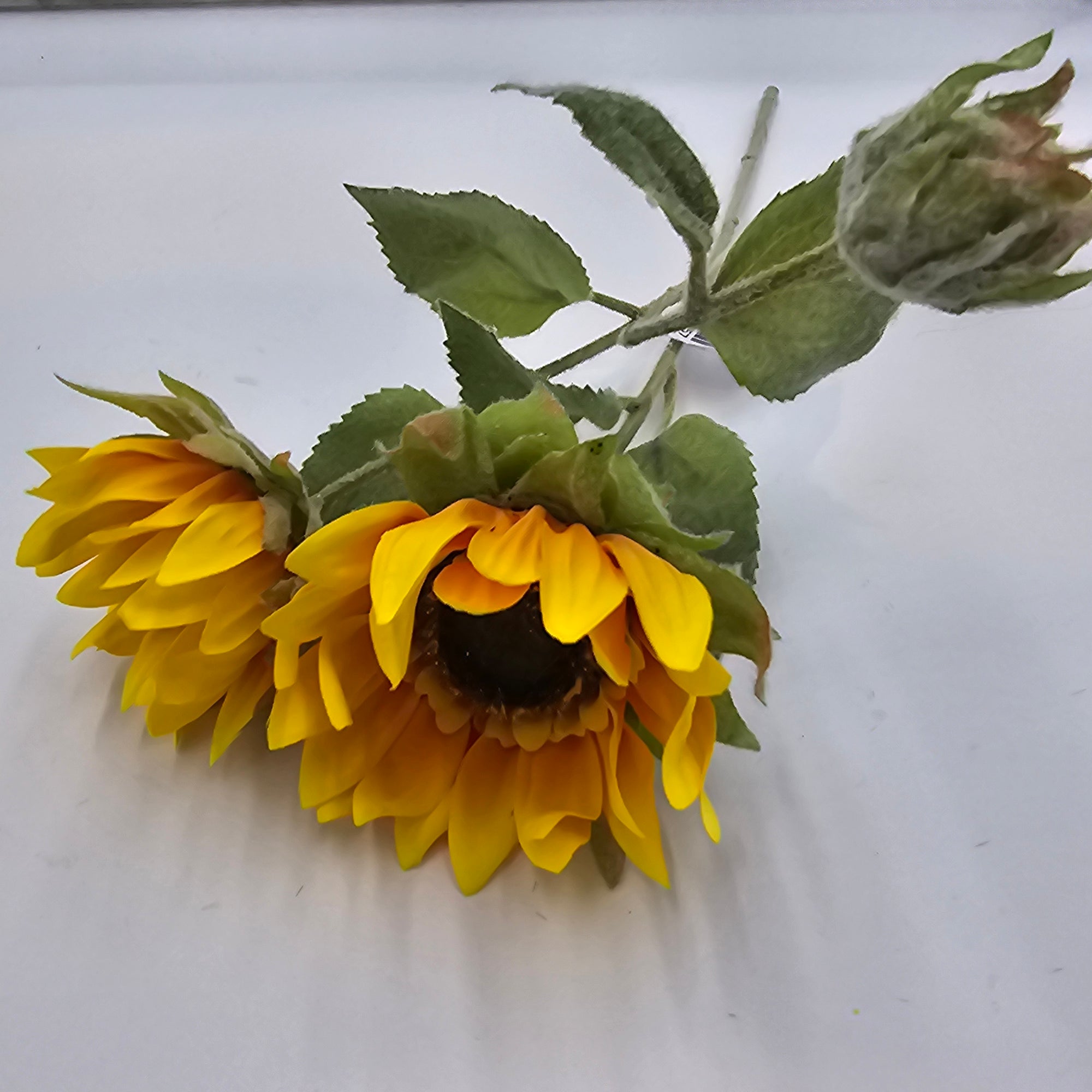 17" Sunflower--#fss017