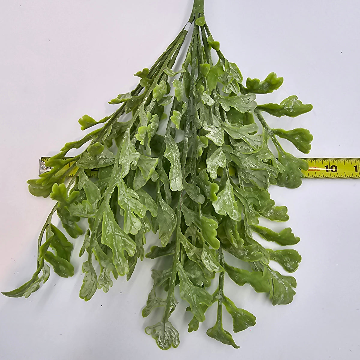 17&quot;MILLER FERN--pbf166-gr