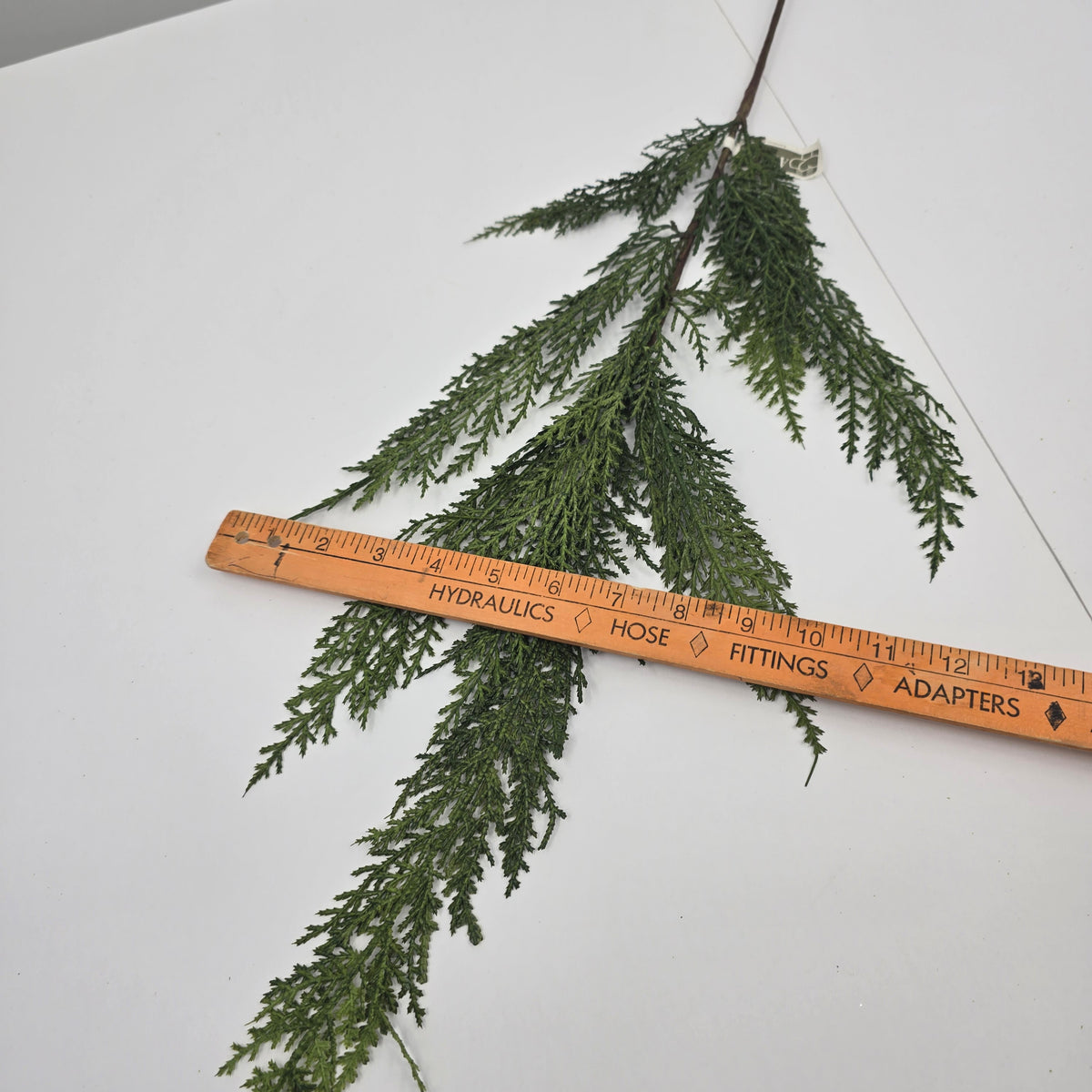 30&quot; Cedar Spry--#ysc407