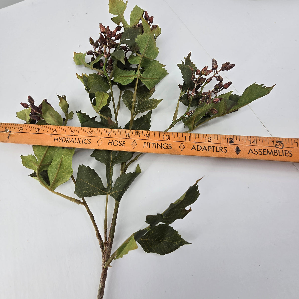 33&quot; Seeded Ash Leaf Spray--#psa125