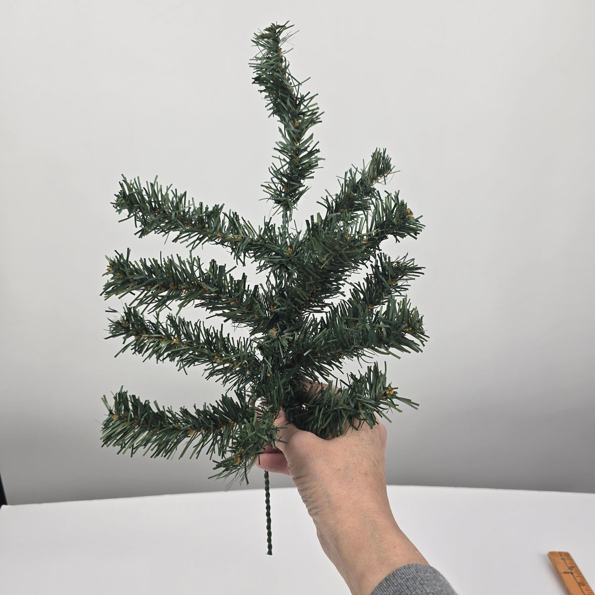 11&quot; Canadian Pine--#ysc112