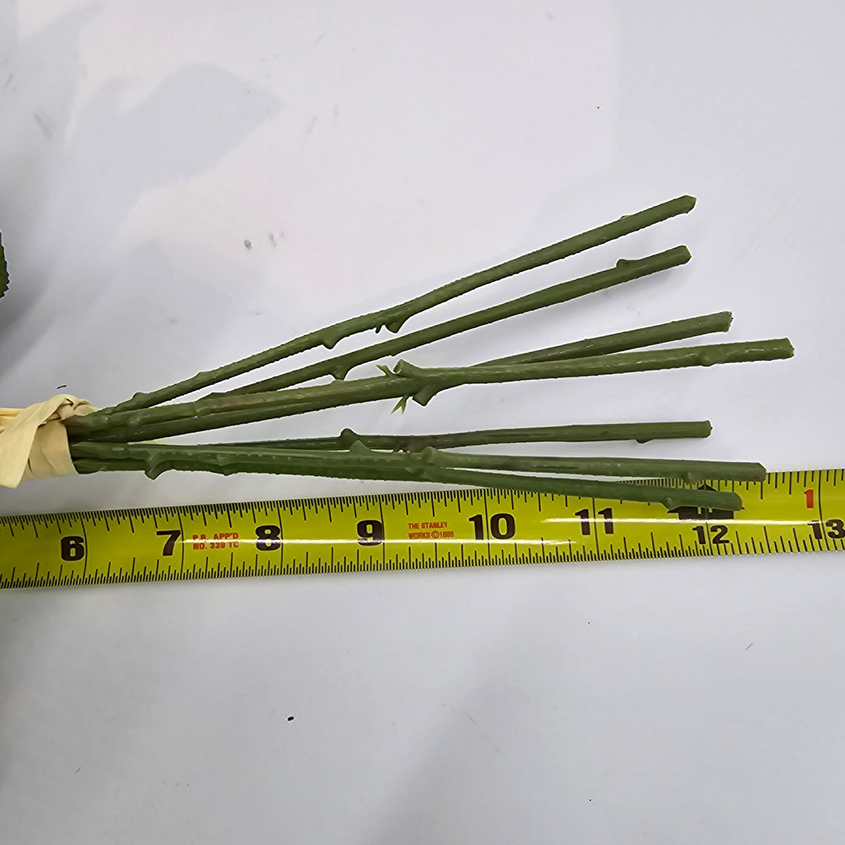 Rose Bouquet--fbq100-wh