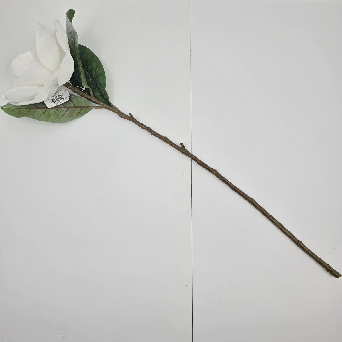 29&quot; Frosty Magnolia --#xfs552