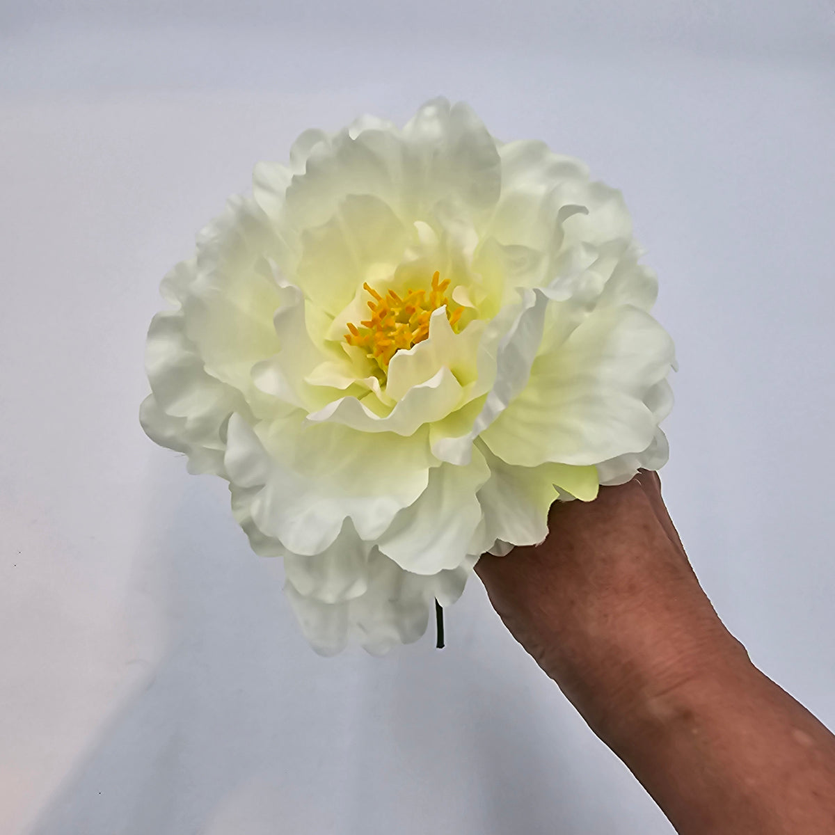 9&quot;PEONY PICK--fkp162