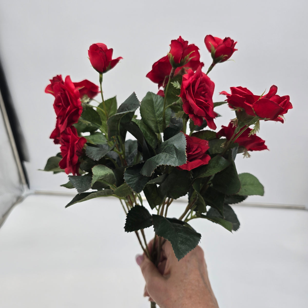 15&quot;ROSE BUSH--fbr103