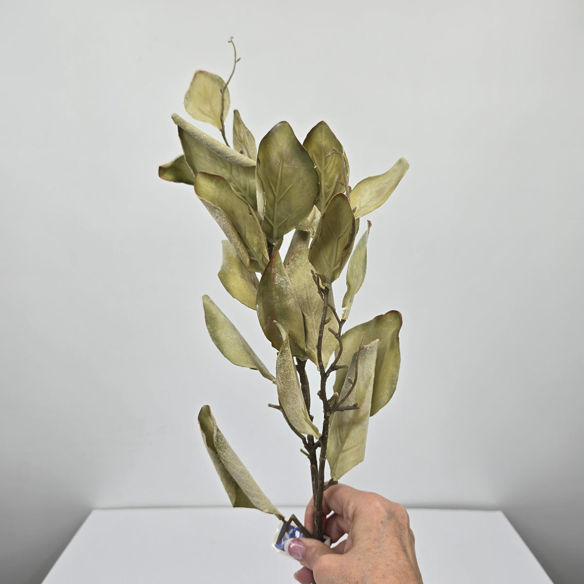 29.5&quot; Protea Leaf Spray--#psp713