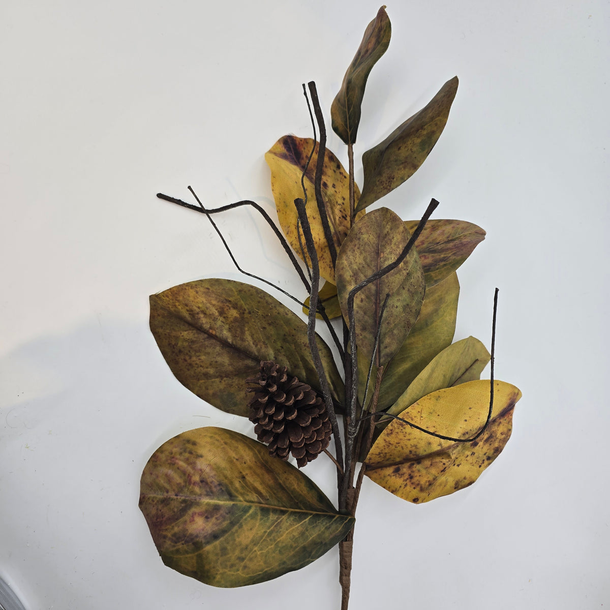 Magnolia/Cone-38&quot; #psm300