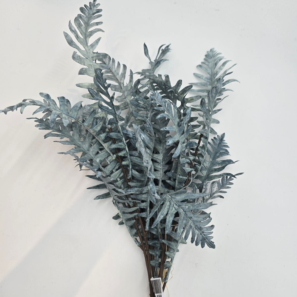 20.5&quot;FERN Bunch--#xab544