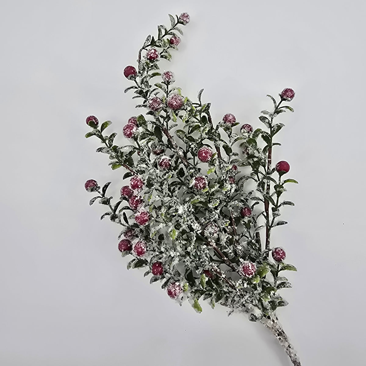 21&quot; Snow Berry--#xbs206