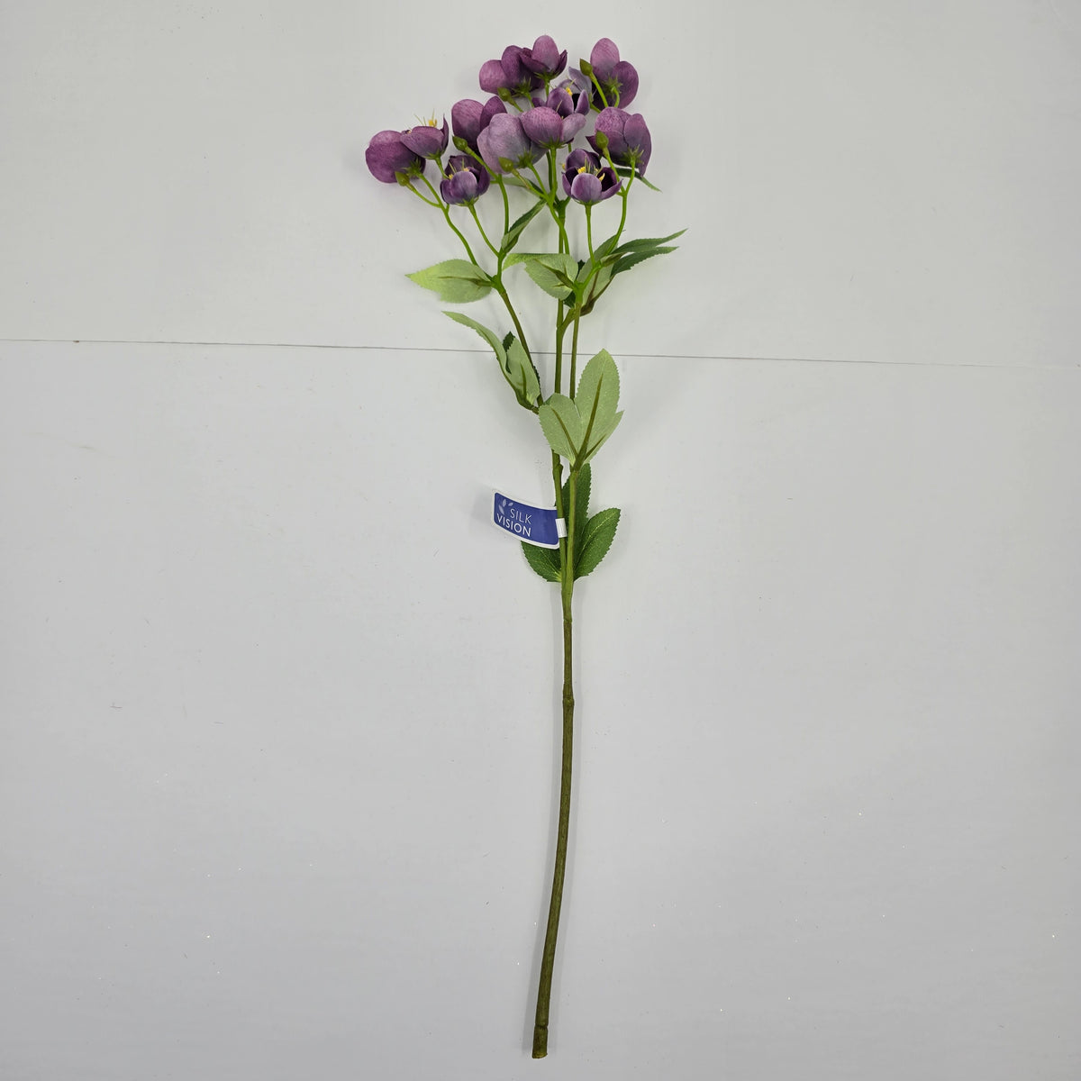 23&quot; Helleborous--#fsh153