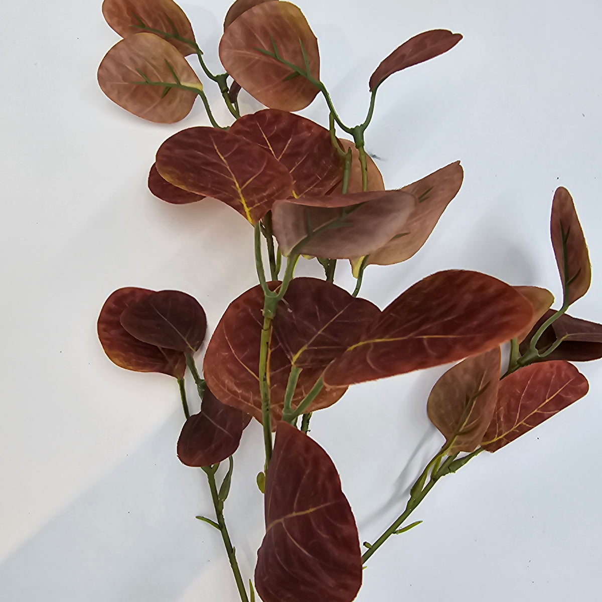 25&quot; Smoketree Lf--#pss821