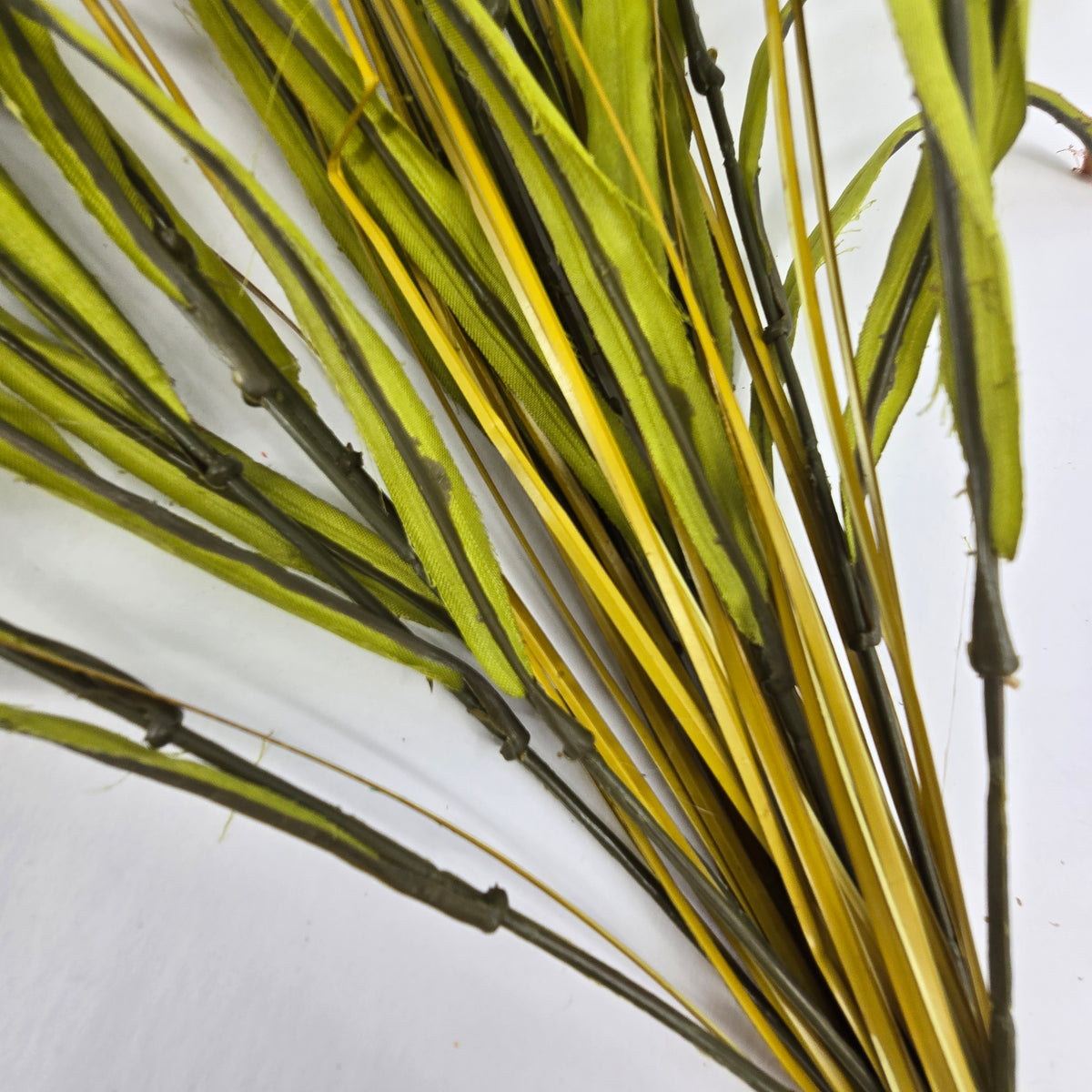 20&quot; Wheat Bush--#pbw110