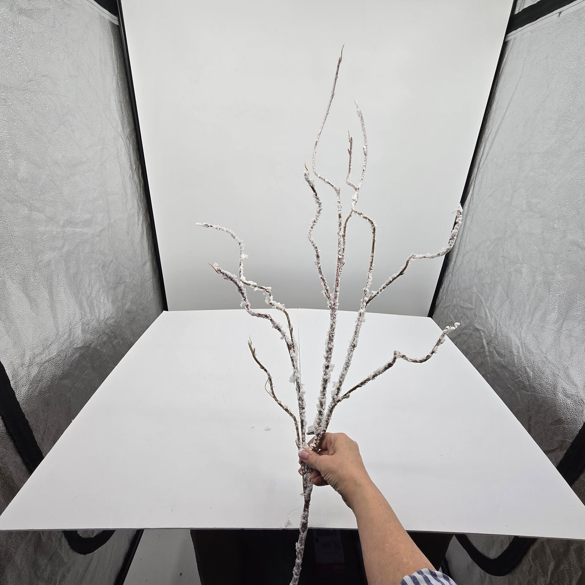 52.5&quot; Snowy Twig Spray--#xas082