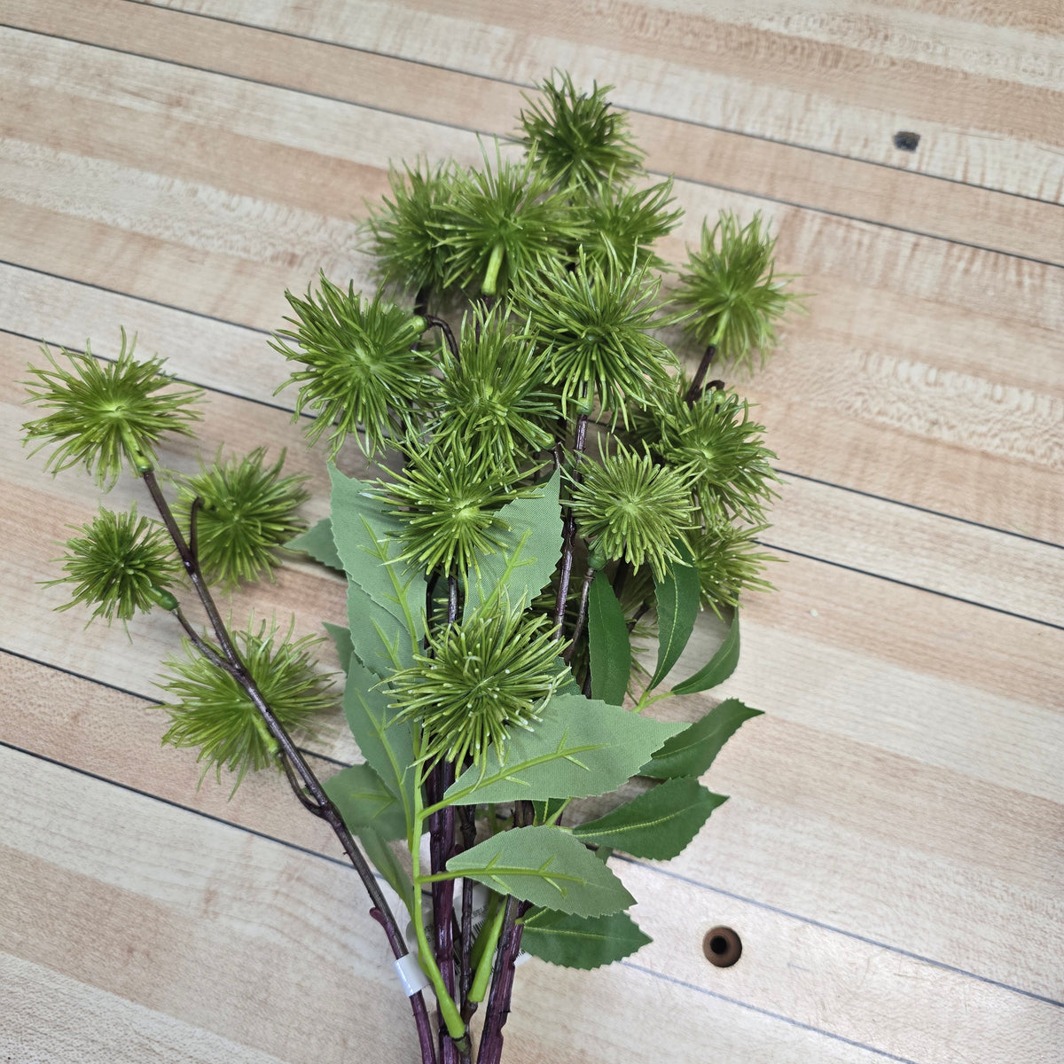 18" Globe Thistle Bundle #fbt556