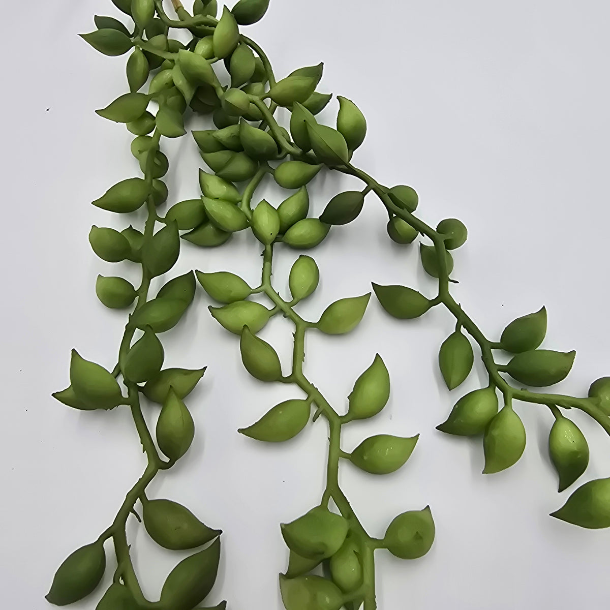 26&quot;String of Pearls--#CS2011