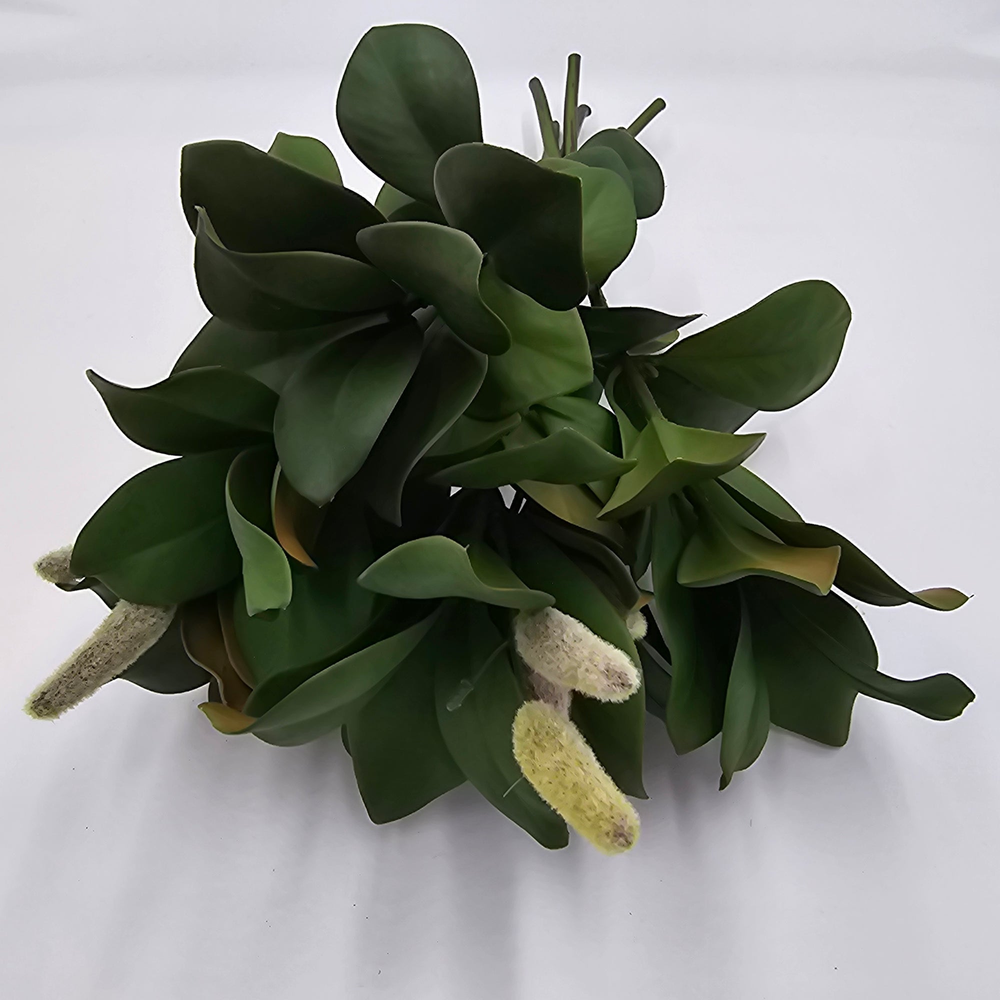 Magnolia Leaf Bundle