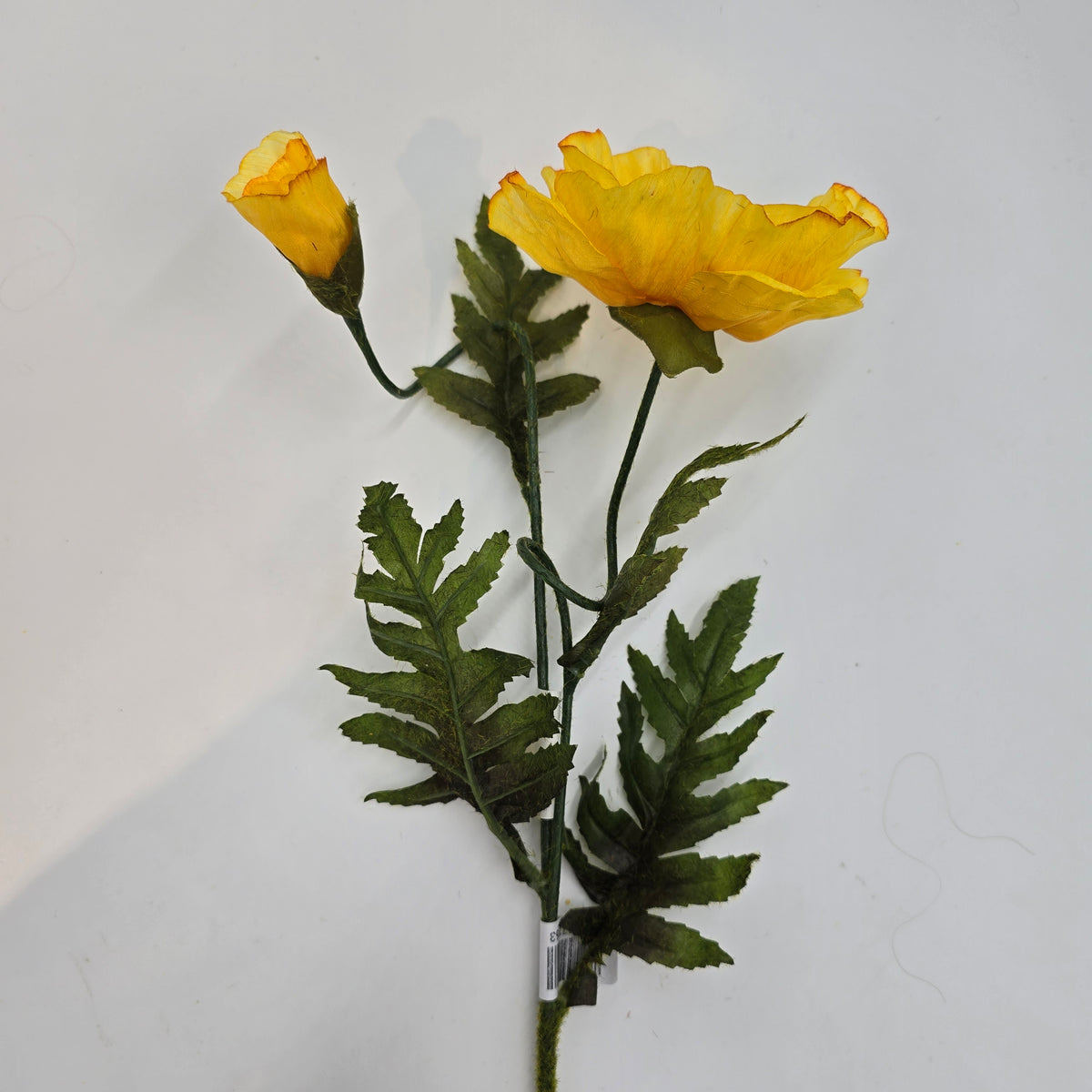 28&quot;POPPY--gtp103