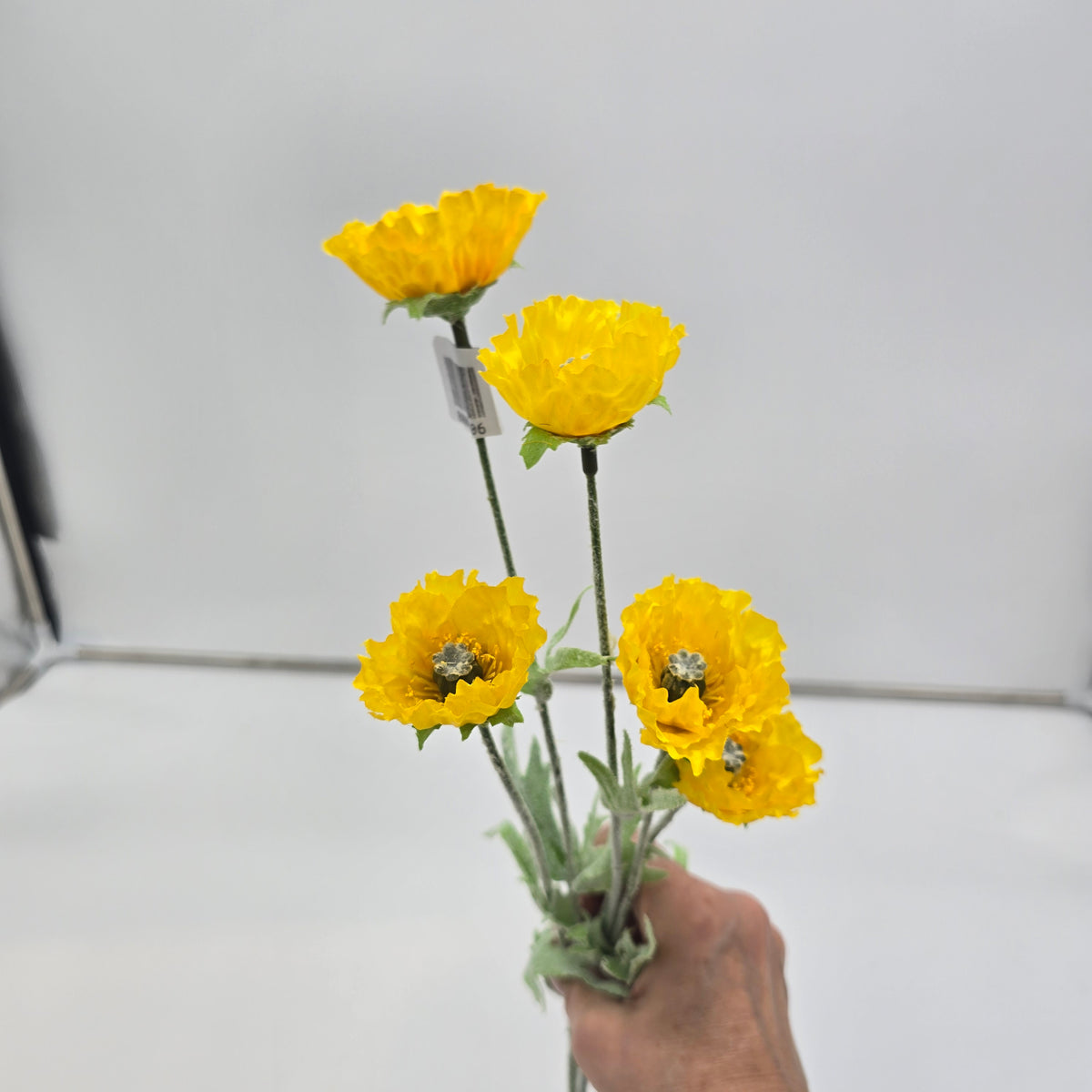 26&quot;MEADOW POPPY--#fsp748-ye