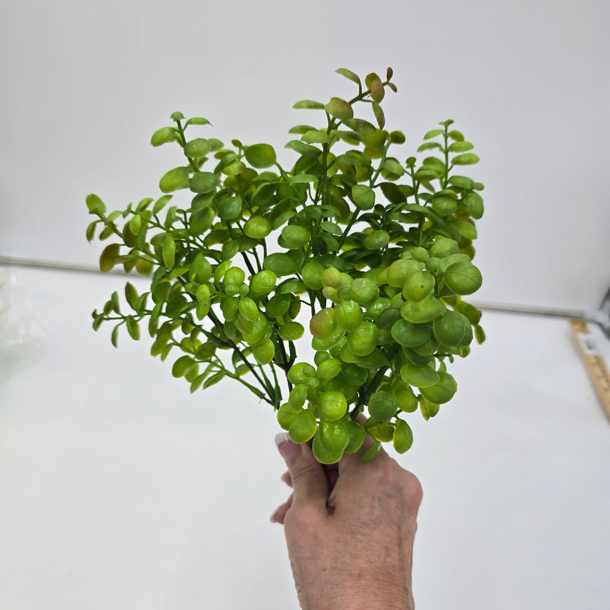 12&quot; Boxwood Bush (Green) #pbb399-gr