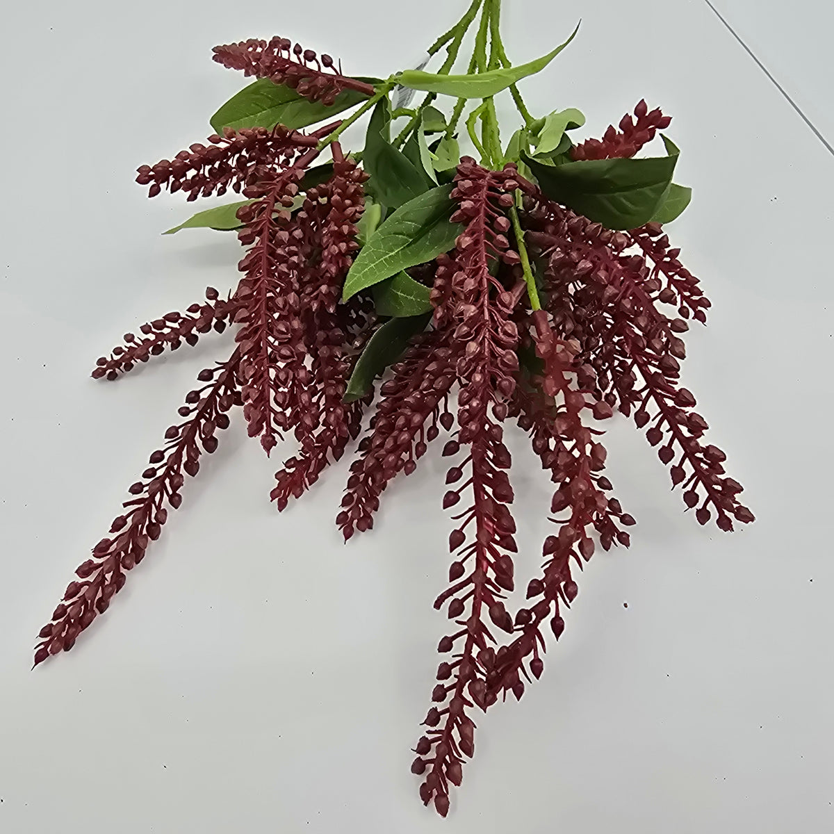 25&quot;PIERIS JAPONICA--#fsj991