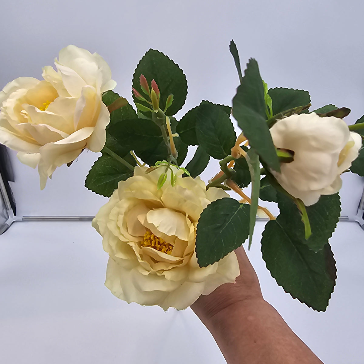 28&quot;ROSE--fsr522