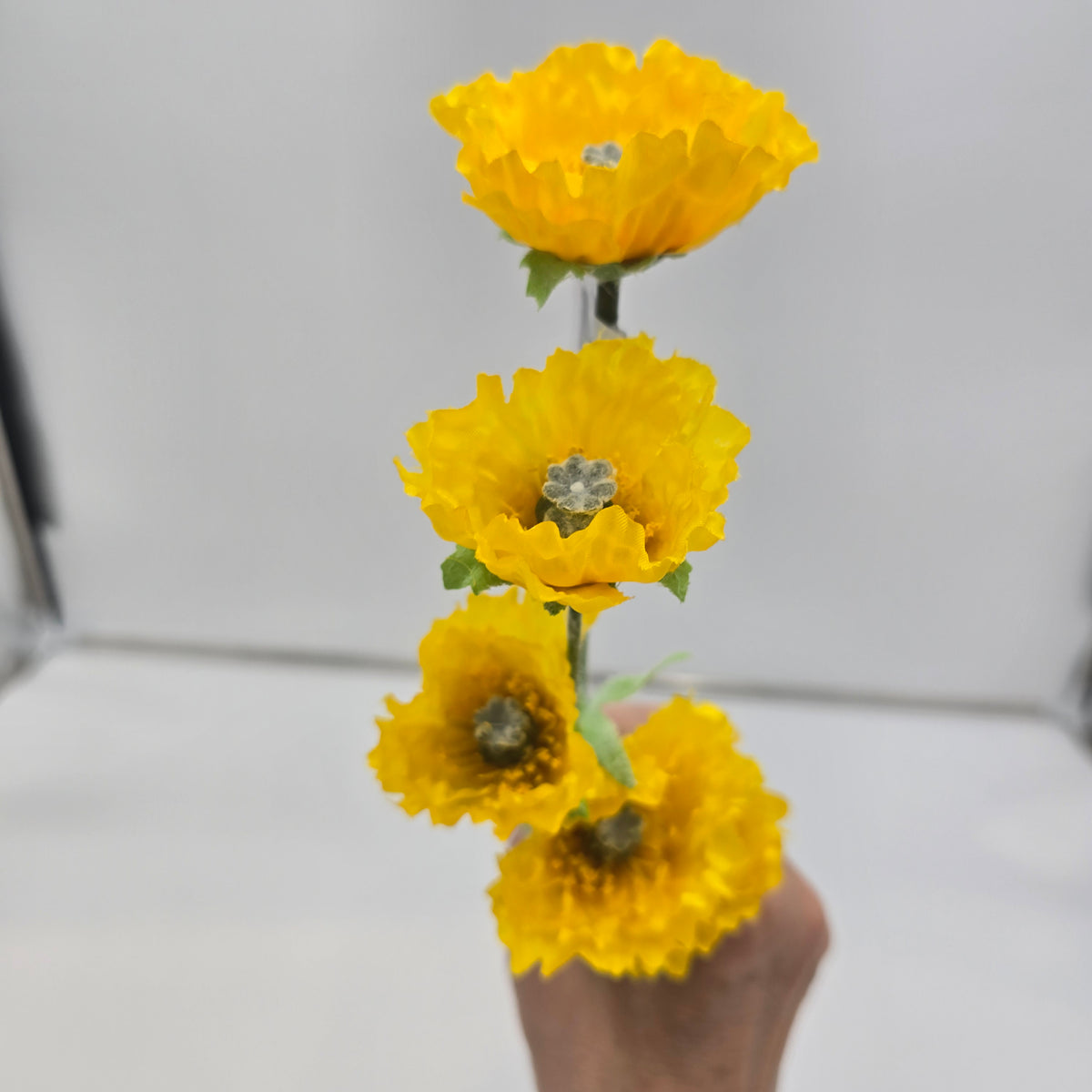 26&quot;MEADOW POPPY--#fsp748-ye