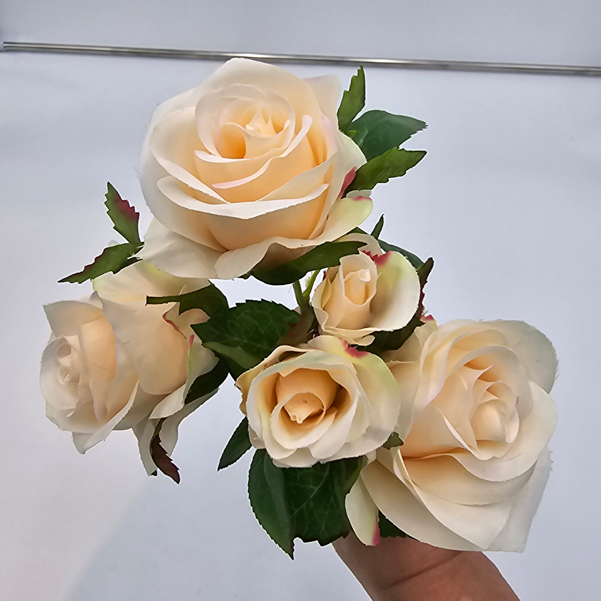 15.5&quot;ROSE--fsr205