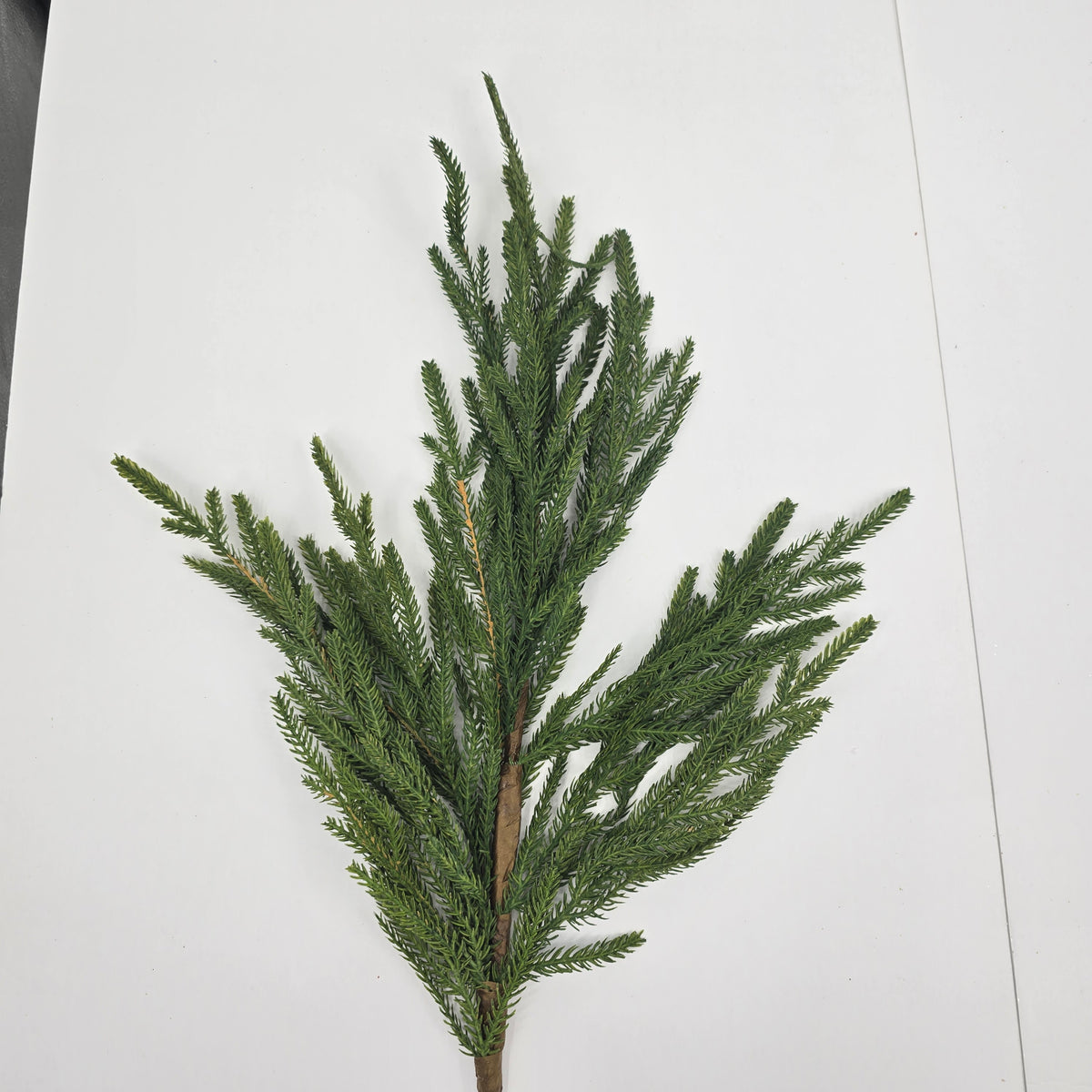 36&quot; Cypress Pine Spray-#ysc111