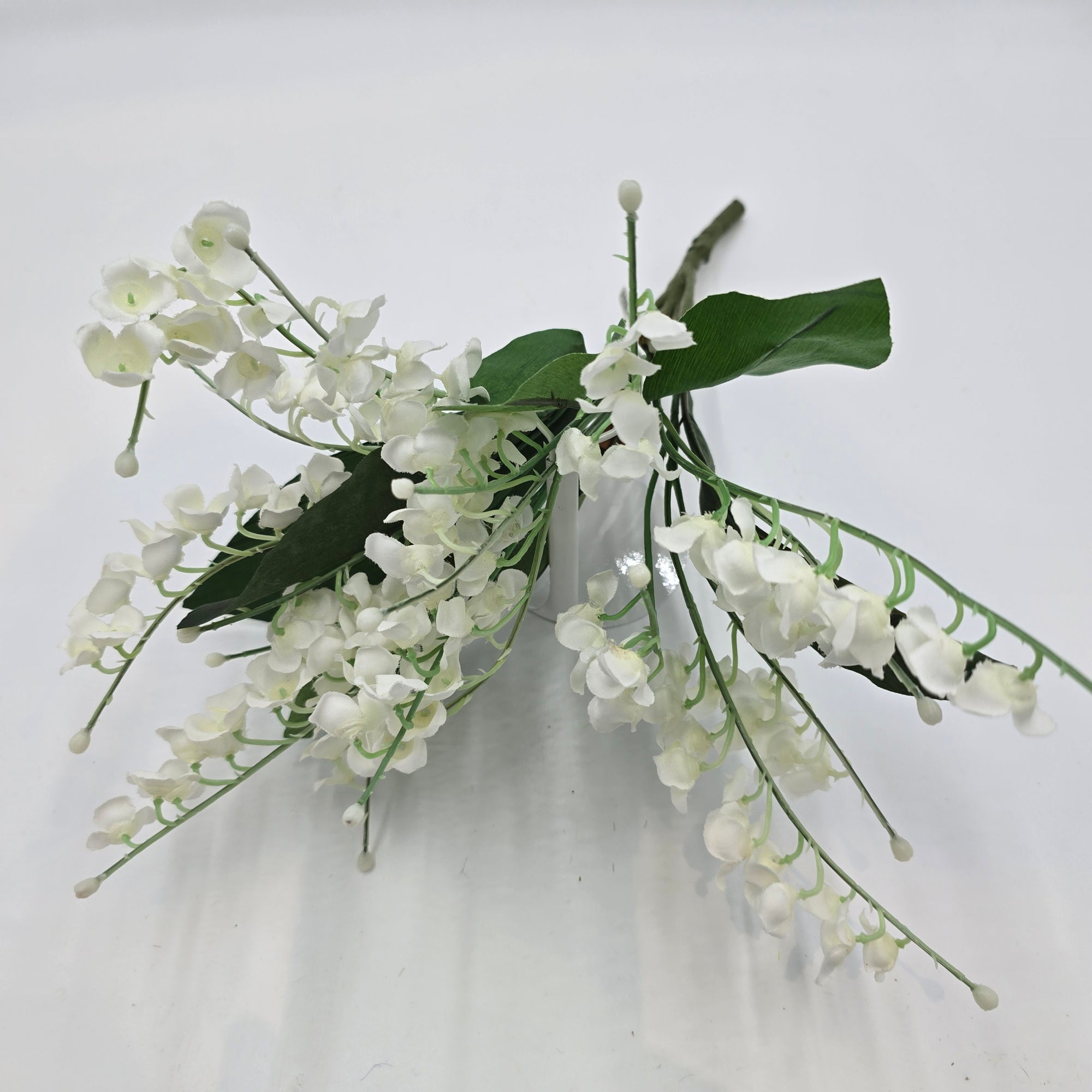 Lily of the Valley--#fbl162