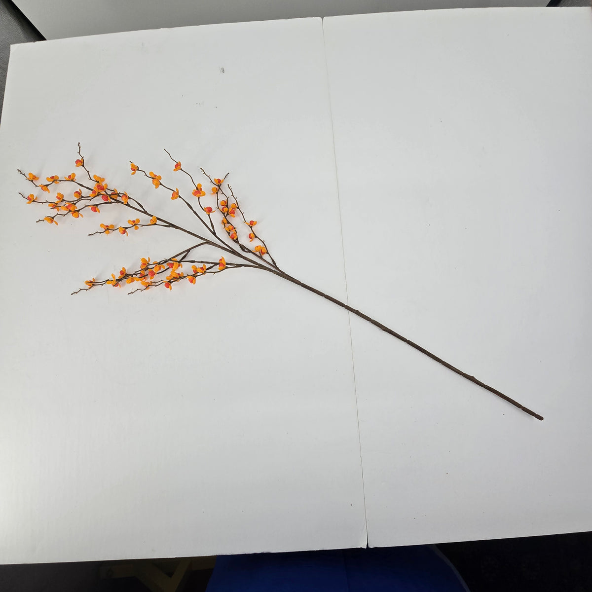 32.5&quot; Bittersweet Spray--#fsb459