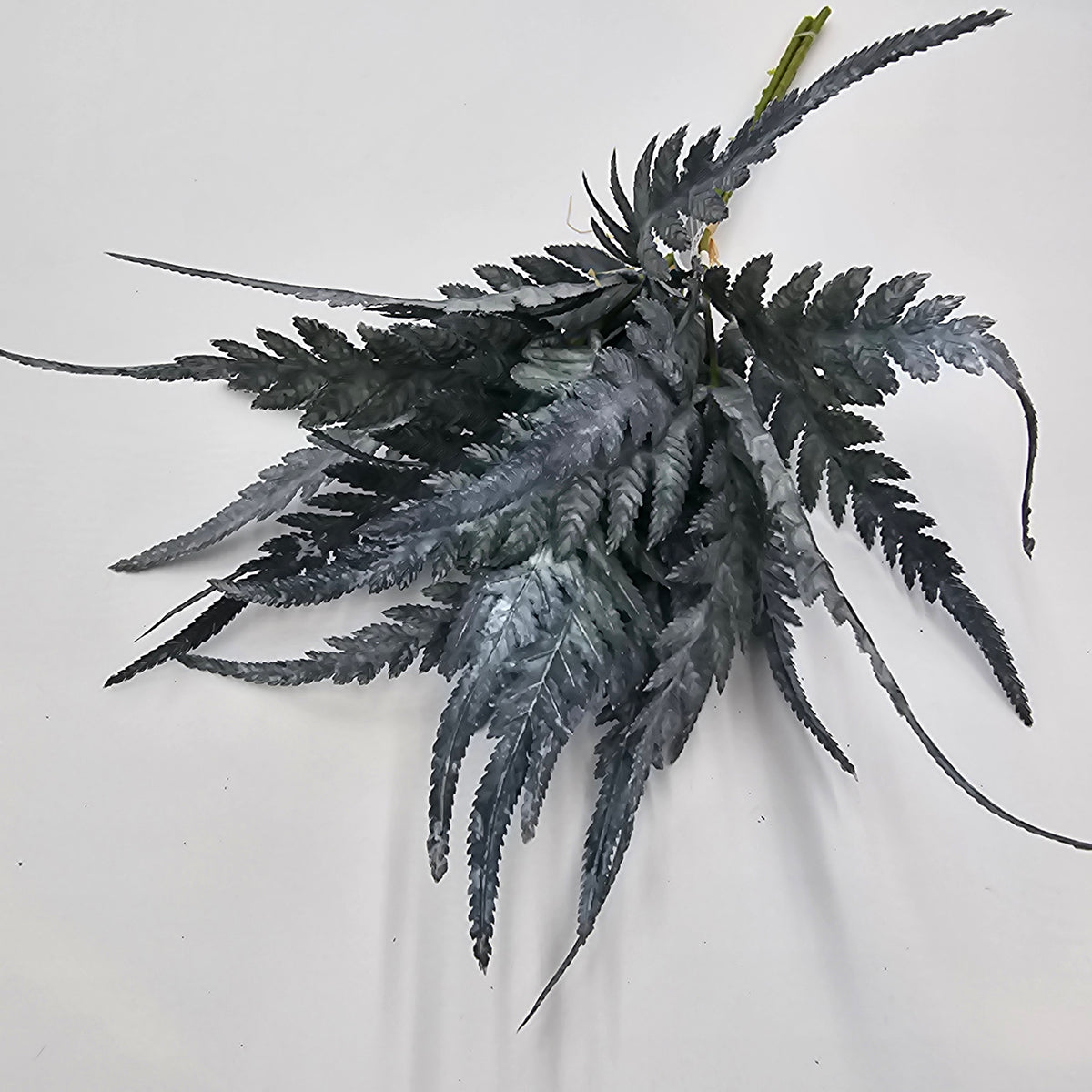 16.5&quot;FERN BUNDLE-#xab543-gr